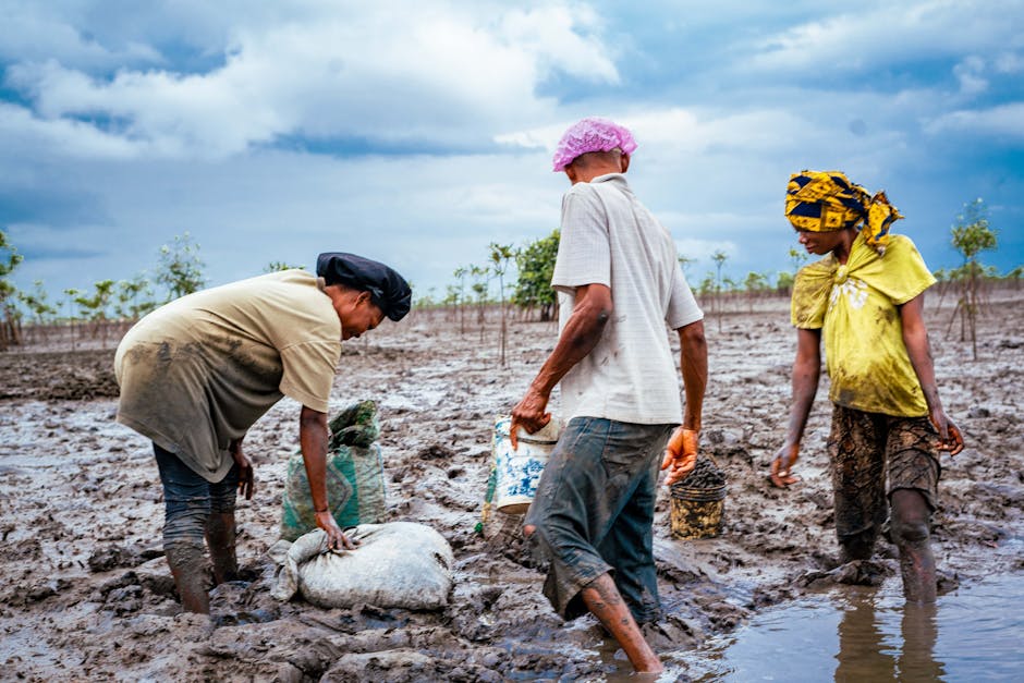 Sensibilisation et reunions de groupements feminins